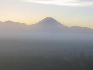 Mt. Ngauruhoe im Morgengrauen