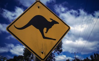 Kangaroo crossing