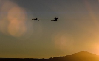 Flamingos über der Atacama